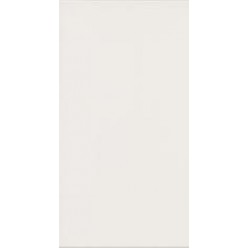 Sintesis Blanco Brillo 31x60 (Saloni)
